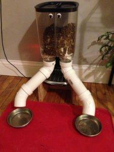 power cat feeder raspberry pi