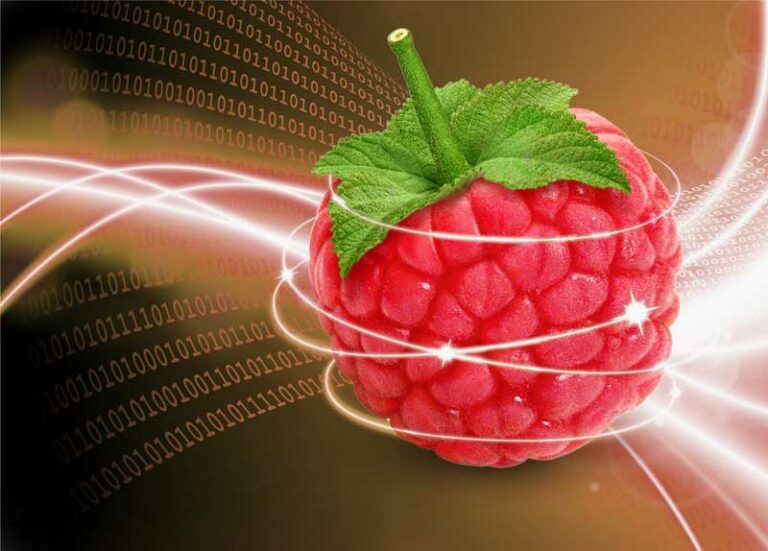 Comment faire de la domotique avec Raspberry PI ? Raspberry Pi France