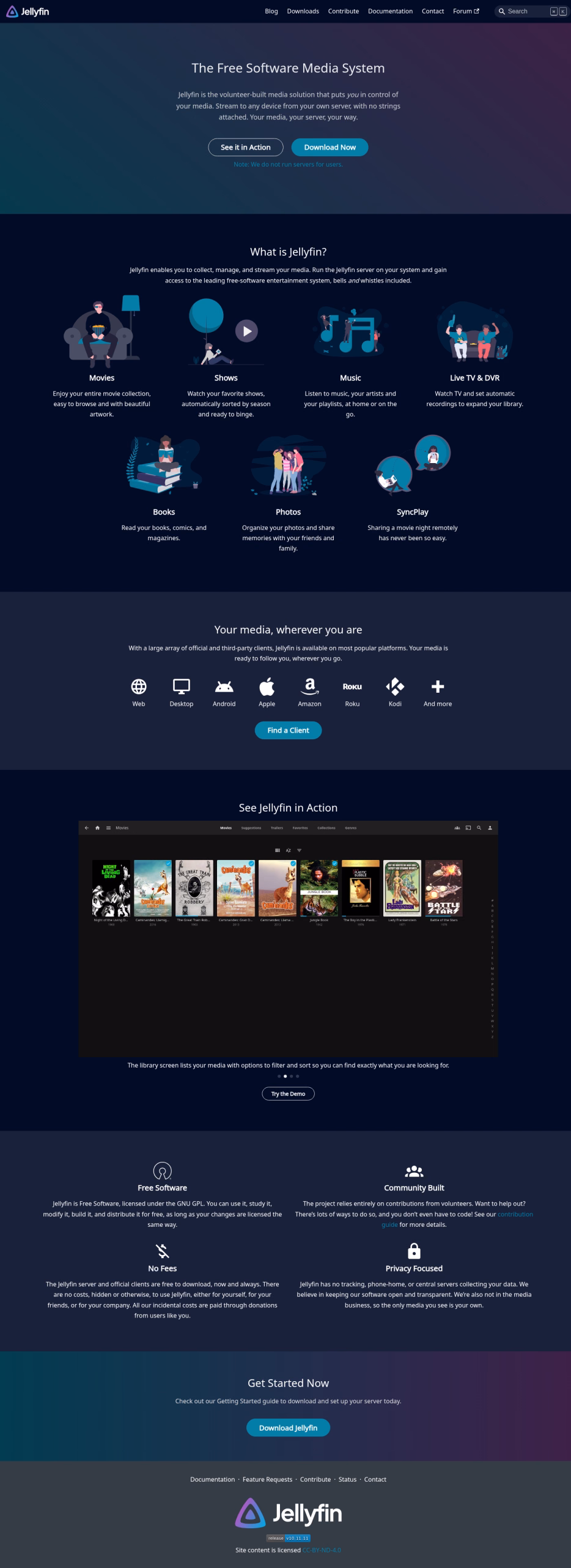 Capture du site officiel Jellyfin