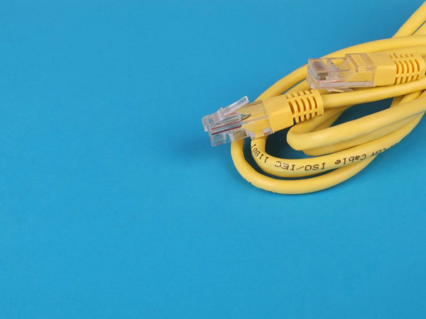 Câbles Ethernet connectés à un switch réseau pour illustrer WatchYourLAN sur Raspberry Pi