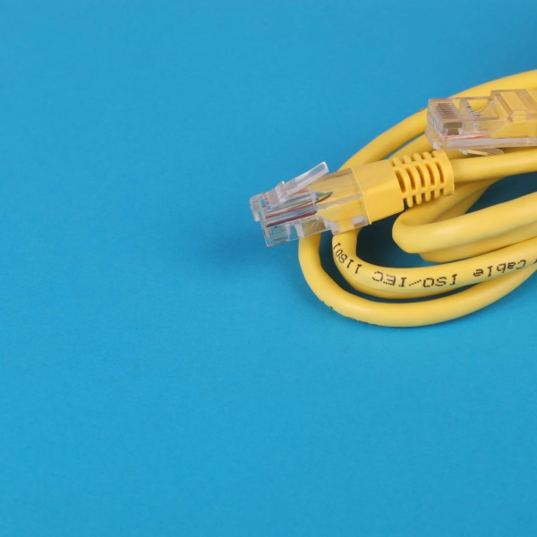 Câbles Ethernet connectés à un switch réseau pour illustrer WatchYourLAN sur Raspberry Pi