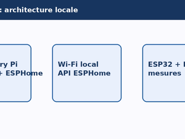 Schéma Raspberry Pi Docker Wi-Fi ESP32 ESPHome