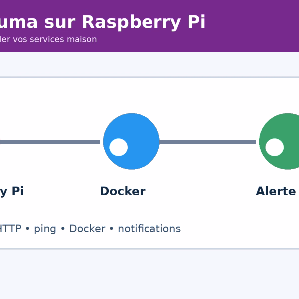 Schéma Raspberry Pi, Docker et Uptime Kuma pour surveiller des services maison